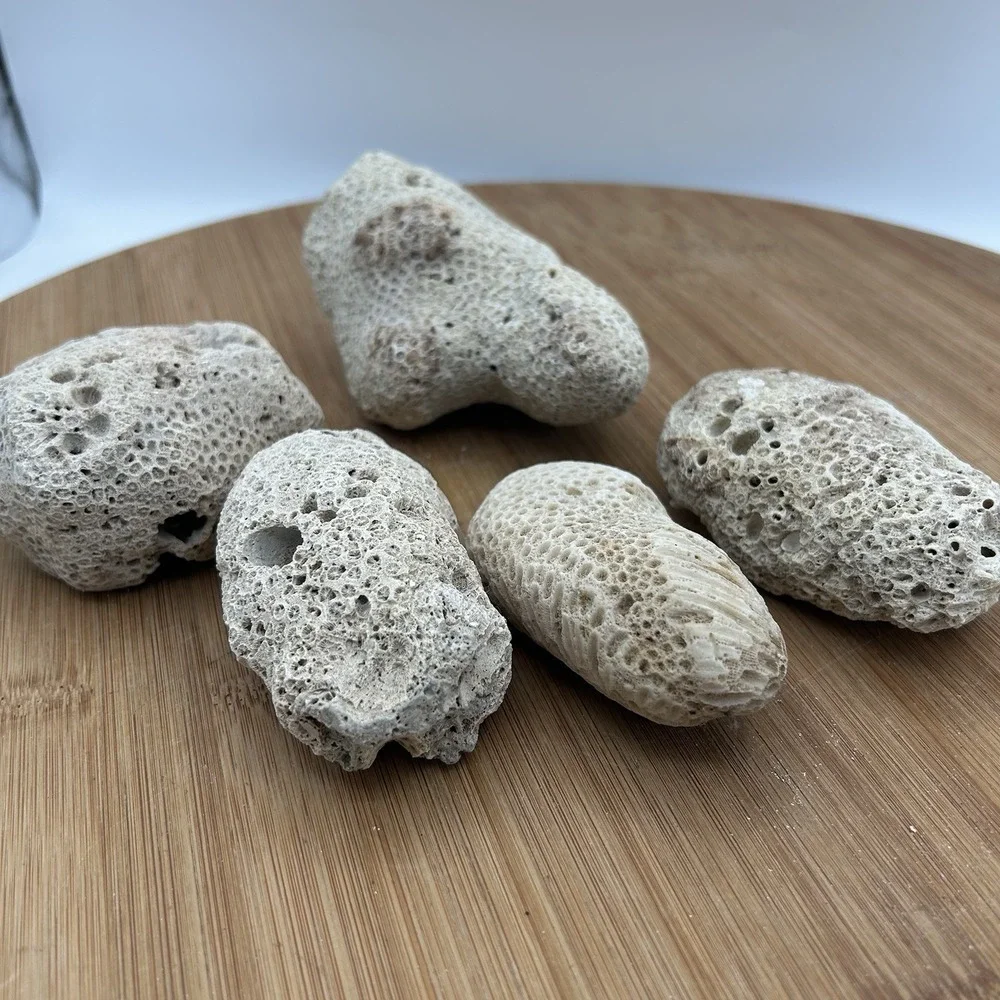 5 Pieces Coral Rocks Rare Vintage Ocean Stone Saltwater Fish Tank Aquarium Decor